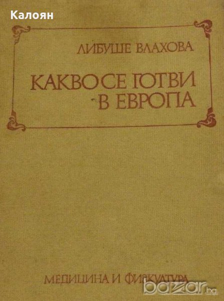 Либуше Влахова - Какво се готви в Европа, снимка 1