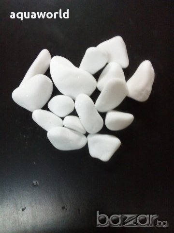 "ПРОМОЦИЯ" Грунд бял 12/20 мм