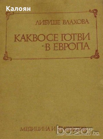 Либуше Влахова - Какво се готви в Европа, снимка 1 - Художествена литература - 20995325