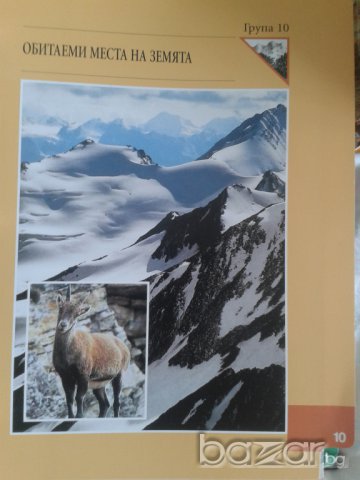 Енциклопедия Чудния свят на животните., снимка 7 - Колекции - 7575824