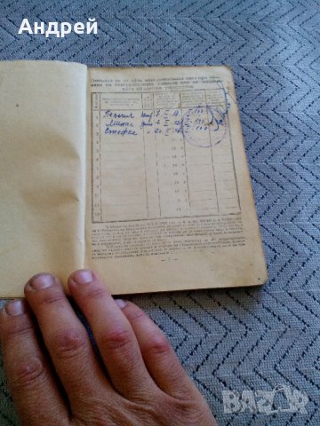 Стара осигурителна книжка 1948, снимка 4 - Антикварни и старинни предмети - 23442503