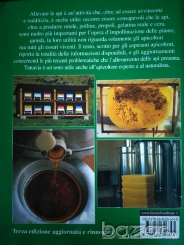  Guida pratica di apicoltura Copertina flessibile, 2007 di Giovanni Bosca, снимка 2 - Специализирана литература - 21228978