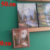 картини  / портрети / пейзажи -цена 30 лв, моля БЕЗ бартери -маслените са по 50 лв големите -малкит, снимка 2 - Картини - 21487870