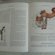 Атласи по анатомия на човека Синелников, снимка 11 - Енциклопедии, справочници - 16689471