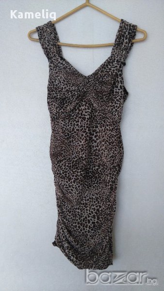 Тигрова рокличка, снимка 1