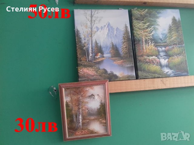  картини  / портрети / пейзажи -цена 30 лв, моля БЕЗ бартери -маслените са по 50 лв големите -малкит, снимка 2 - Картини - 21487870