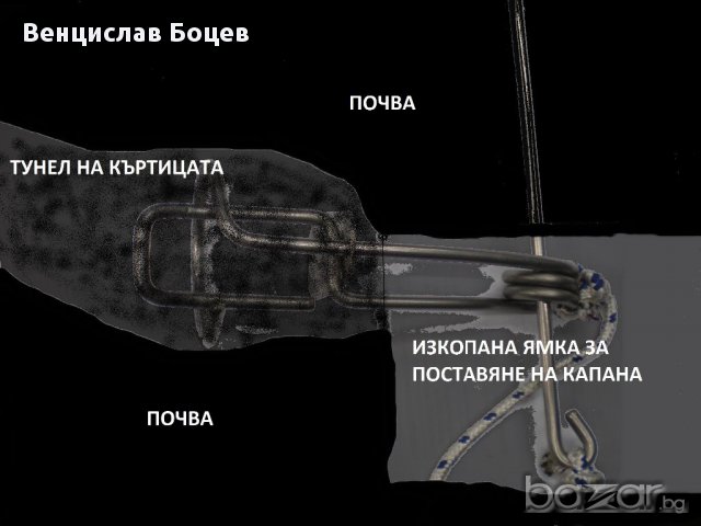 Капан за къртици и сляпо куче-неръждаем "INOX"", снимка 3 - Градински цветя и растения - 10833545