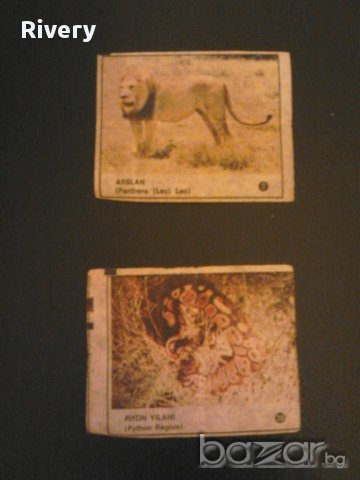 Купувам картинки от дъвки, снимка 3 - Други ценни предмети - 9432363