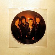 Vinyl-грамофонни плочи - MANFRED MANN / SANDii & THE SUNSETZ / GO GO'S - Picture Discs, снимка 11 - Грамофонни плочи - 16532730