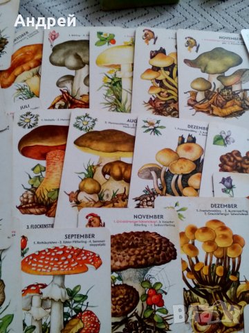 Стари Гъбарски карти, снимка 4 - Антикварни и старинни предмети - 25566360