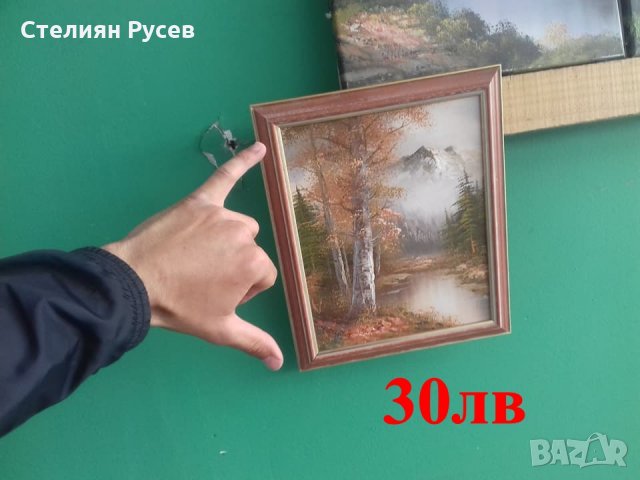  картини  / портрети / пейзажи -цена 30 лв, моля БЕЗ бартери -маслените са по 50 лв големите -малкит, снимка 4 - Картини - 21487870