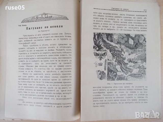 Списание "*Венецъ* - книжка 5 - февруарий 1936 г." - 64 стр., снимка 7 - Списания и комикси - 21817638