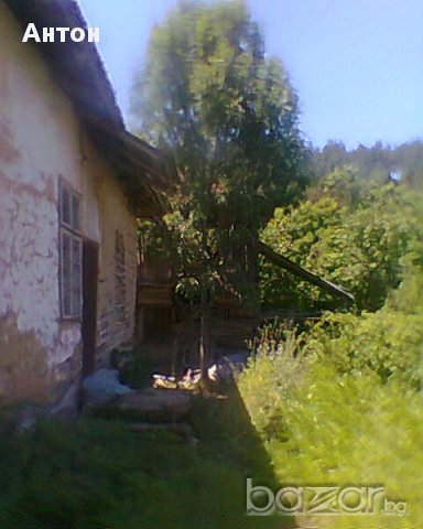 къща с двор в с Стакевци община Видин, снимка 7 - Къщи - 13418561