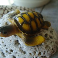 жълта костенурка, снимка 4 - Декорация за дома - 11663590