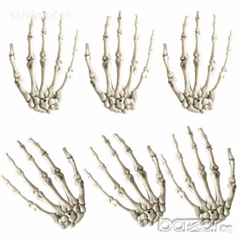 Скелет ръце 2 бр. , снимка 2 - Части - 18939536