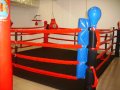 Въжета за боксов ринг - три пластови  , снимка 7