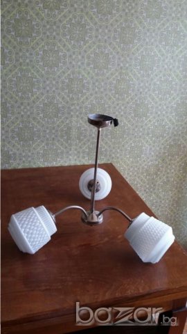 Полилей четри вида, снимка 10 - Полилеи - 15804371