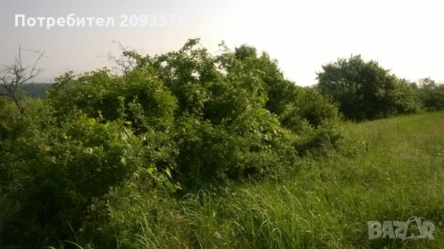 Парцел с. Звездица, снимка 14 - Парцели - 23007156