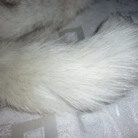  Шал яка от полярна бяла лисица , снимка 7 - Шапки - 19116831