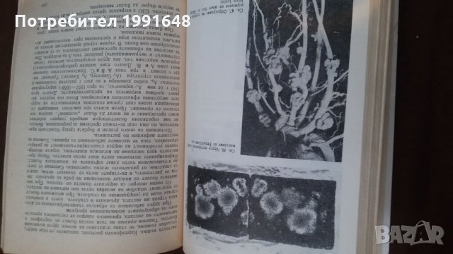 Книги за биология и медицина: „Милиарди микроби“ – автор Курт Е.Линднер, снимка 15 - Енциклопедии, справочници - 23429622