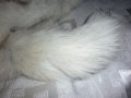  Шал яка от полярна бяла лисица , снимка 7