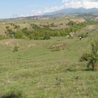 Продавам земя в с. Лешница, община Сандански, снимка 5 - Земеделска земя - 14247705