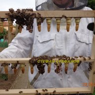 Пчеларска платформа за пчелни кошери., снимка 12 - Селскостопанска техника - 9671546