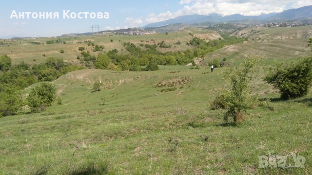 Продавам земя в с. Лешница, община Сандански, снимка 5 - Земеделска земя - 14247705