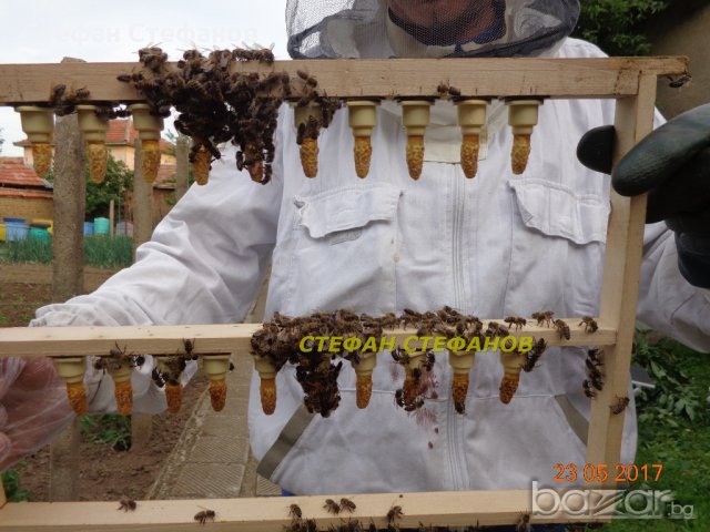 Пчеларска платформа за пчелни кошери., снимка 12 - Селскостопанска техника - 9671546