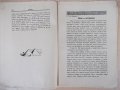 Списание "*Венецъ* - книжка 7 - априлъ 1936 г." - 64 стр., снимка 6