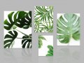 КАРТИНА Тропически листа #025, снимка 2