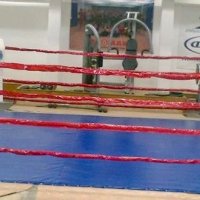 BG Боксов ринг 4х4 м. с 2 см. Мека подложка, снимка 8 - Фитнес уреди - 23132066