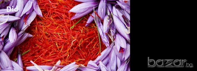 Шафран висококачествена подправка Козани Гърция Кроко, снимка 7 - Домашни продукти - 19231413