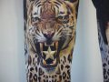 Клин-панталон Philipp Plein с 3d щампа тигри,намален, снимка 1 - Панталони - 11209695