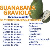 Гравиола-Гуанабана-Най мощният Антиоксидант Имуностимулант, снимка 6 - Домашни продукти - 20225086