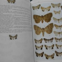 ПРОМОЦИЯ! - The Lepidoptera of Israel. Volume I: Erebidae  , снимка 5 - Специализирана литература - 21079007