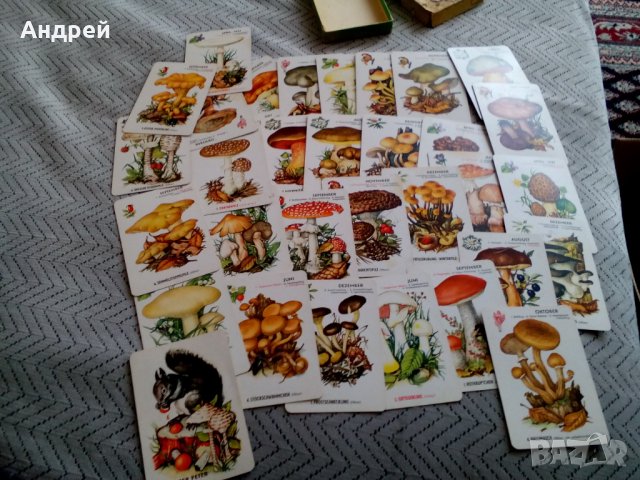 Стари Гъбарски карти, снимка 2 - Антикварни и старинни предмети - 25566360