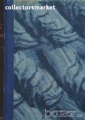 Стършел, снимка 2 - Художествена литература - 13703917