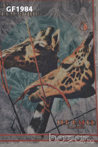 Намаление!!!Ted Baker - мъжки тениски, размери 3(M) , снимка 3 - Тениски - 14427963