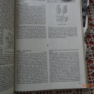 Голяма енциклопедия за растенията от А до Я, снимка 8 - Енциклопедии, справочници - 14108662