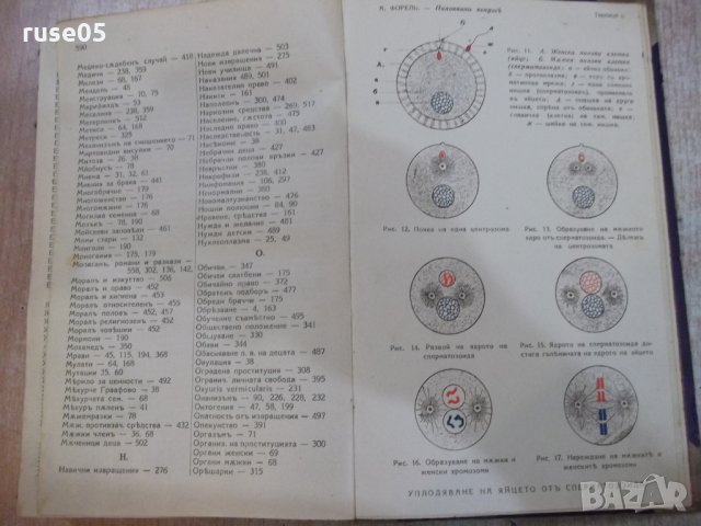 Книга "Половиятъ въпросъ - Агустъ Форелъ" - 596 стр., снимка 12 - Специализирана литература - 22691962