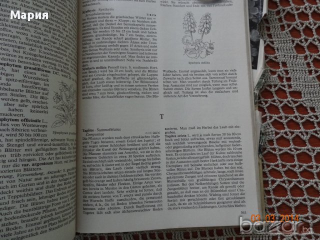 Голяма енциклопедия за растенията от А до Я, снимка 8 - Енциклопедии, справочници - 14108662