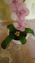 Орхидея от мъниста, снимка 4