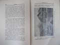 Списание "*Венецъ* - книжка IV - януарий 1935 г." - 64 стр., снимка 5