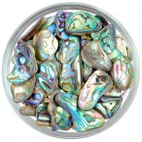 Abalone Shell, Mother of prearl, снимка 1 - Други ценни предмети - 23178442