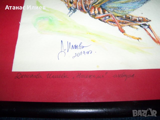 "Насекомо" 1 картина на худ. Десислава Илиева, снимка 2 - Картини - 24715537