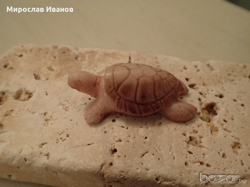 костенурка от остров Родос, снимка 1