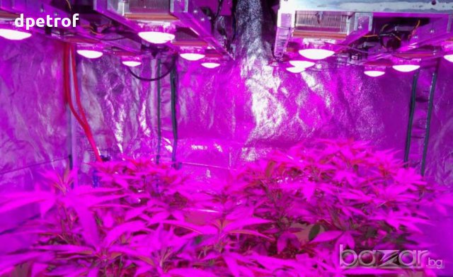 Светодиоден /led/ матричен емитер Epiled /10w/" 45mil "розова светлина", за отглеждане на растения , снимка 2 - Осветление - 10484884