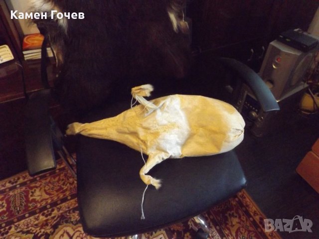 мях за гайда, снимка 2 - Духови инструменти - 25507622