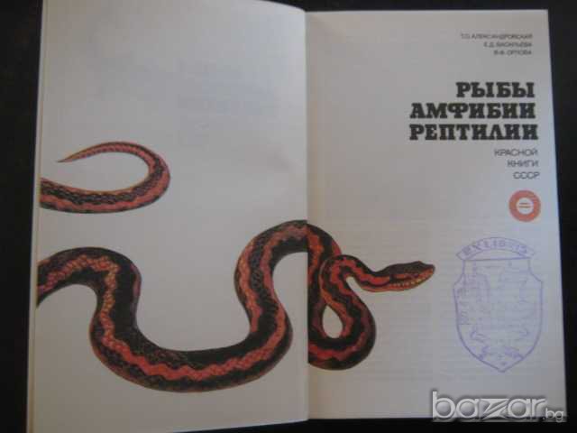 Книга "Рыбы амфибии рептилии - Т.Александровская" - 208 стр., снимка 2 - Специализирана литература - 8041134